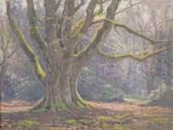 In The New Forest Near Lyndhurst Oil Painting by Frederik Golden Short