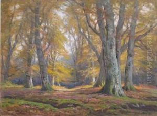 Near Bolderwood Hill Oil Painting by Frederik Golden Short