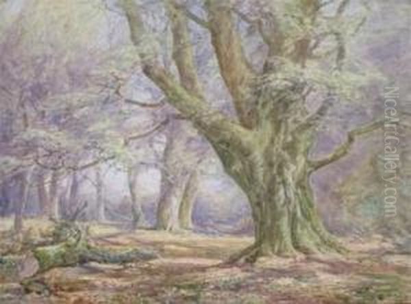 New Forest Scene Oil Painting by Frederik Golden Short