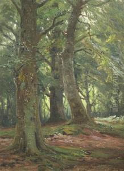 Woodland Scene And Hampshire Heathland Oil Painting by Frederik Golden Short