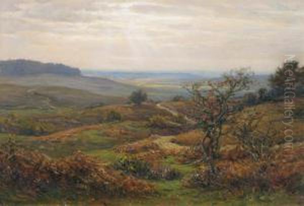 Near Burley In The New Forest Oil Painting by Frederik Golden Short