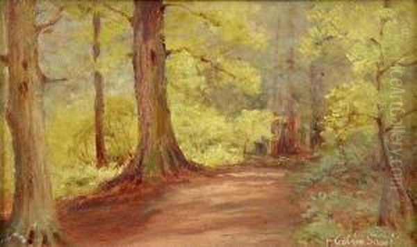 Scenes In The New Forest Both Oil Painting by Frederik Golden Short