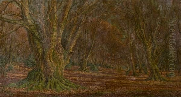 Woodland Glade Oil Painting by Frederik Golden Short