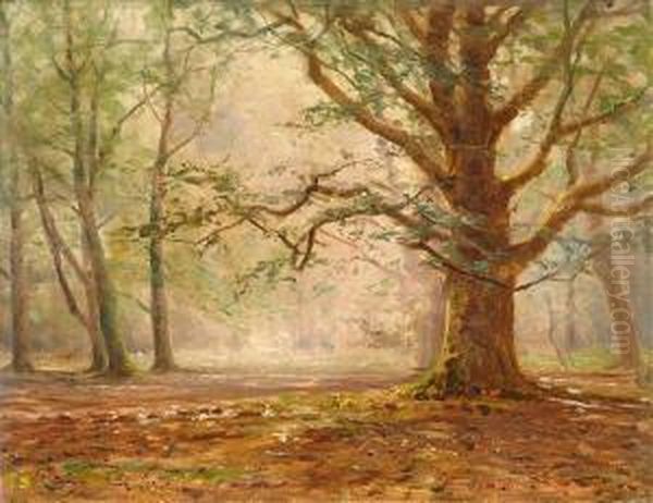 Woodlands Oil Painting by Frederik Golden Short