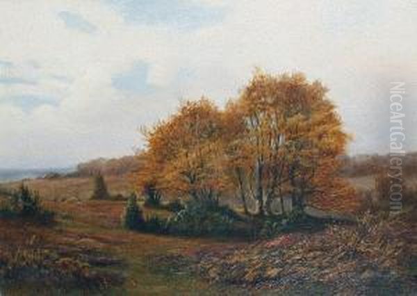 Boldrewood, New Forest Oil Painting by Frederik Golden Short