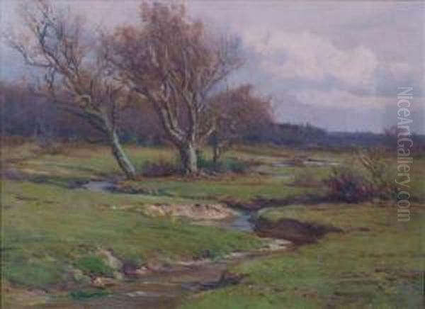 A Brookwith Trees Oil Painting by Frederik Golden Short