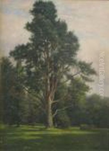 Figure Seated Beneath A Tree In Parkland Signed And Dated 1906 30 X 22in Oil Painting by Frederik Golden Short