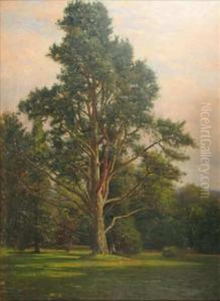 Ladyresting Under A Tree, New Forest Oil Painting by Frederik Golden Short