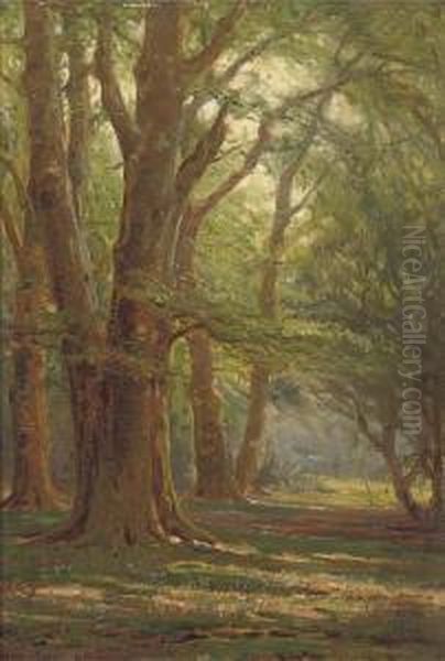 A Sunlit Forest Oil Painting by Frederik Golden Short