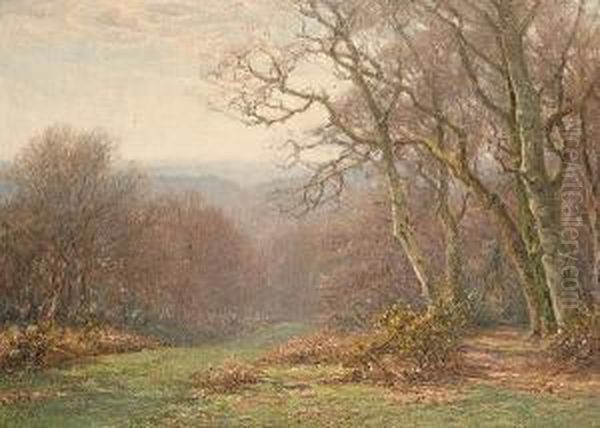 A Woodland Lane Oil Painting by Frederik Golden Short