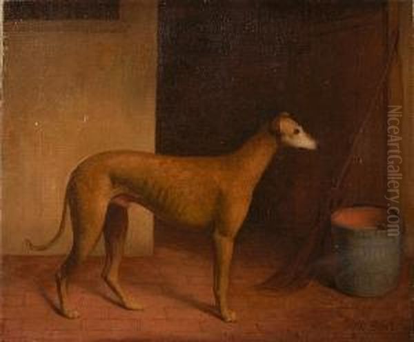 Portrait Of A Greyhound Oil Painting by William Wackenbath Short