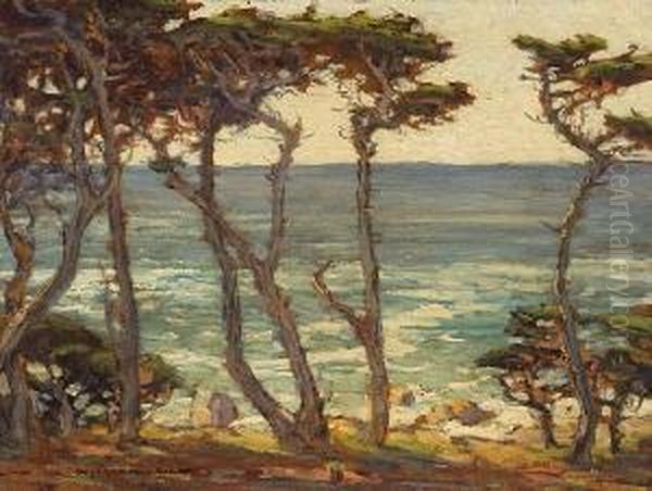 Cypress On The Shore Oil Painting by William Posey Silva