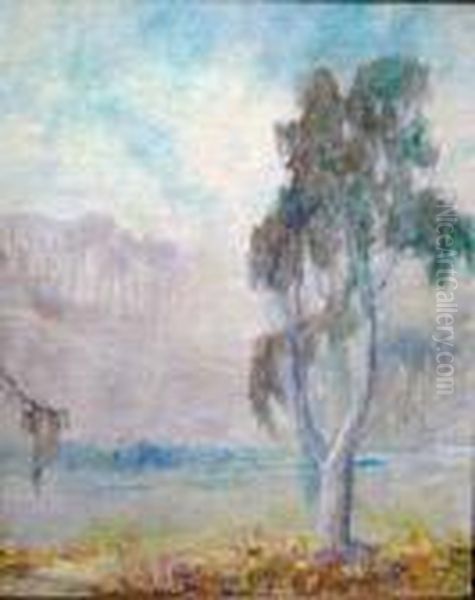 Eucalyptus In Fog (no.38) Oil Painting by William Posey Silva