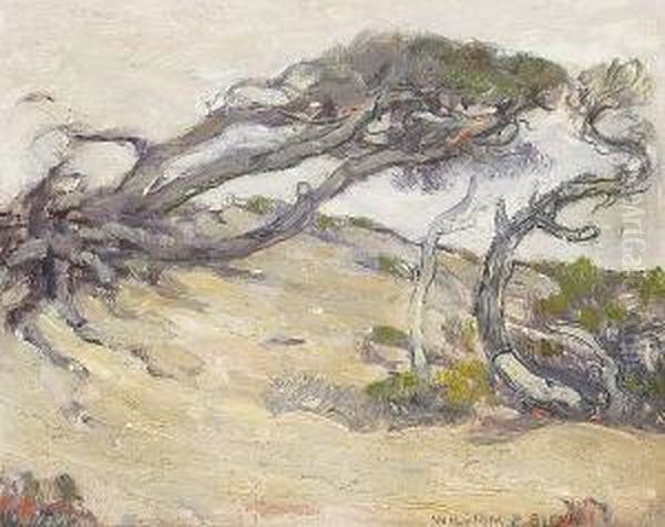 Windblown Cypress - 17 Mile Drive Oil Painting by William Posey Silva