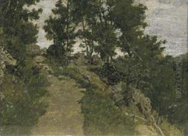 Stradina Di Campagna Oil Painting by Filadelfo Simi