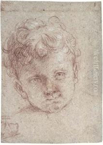 Head Of A Young Child Oil Painting by Elisabetta Sirani