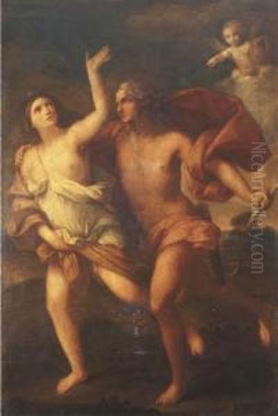 Daphne And Apollo Oil Painting by Elisabetta Sirani