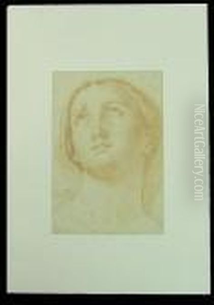 Head Of A Young Woman: A Double-sided Drawing Oil Painting by Elisabetta Sirani