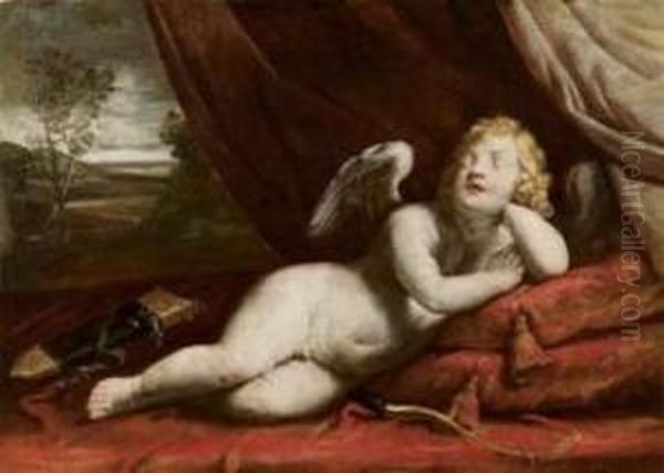 Cupido Addormentato Oil Painting by Giovanni Andrea Sirani