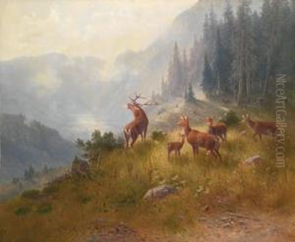 Cervo Con Branco In Alta Montagna Oil Painting by Ludwig Skell