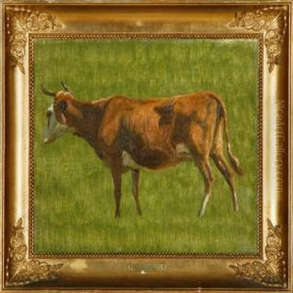 A Jersey Cow Standingon A Field Oil Painting by Niels Skovgaard