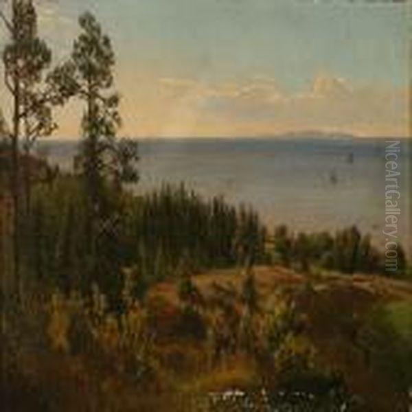 Udsigt Fra Hornbaek Plantage Oil Painting by Peter Christian T. Skovgaard