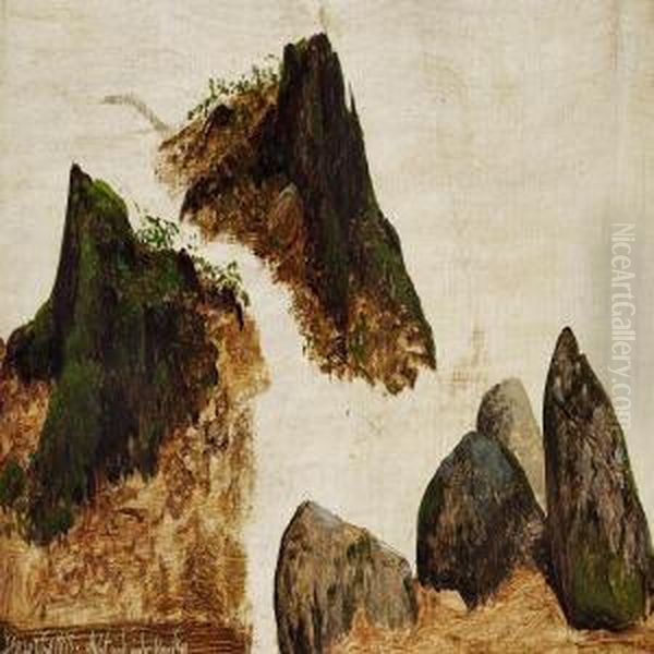 Studies Of Stones And Stumps Of Trees Oil Painting by Peter Christian T. Skovgaard