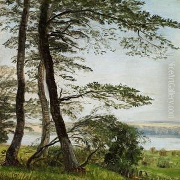 Tall And Slim Beech Trees On The Fringes Of The Forest Oil Painting by Peter Christian T. Skovgaard