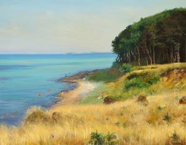 Summer's Day Near The Coast Line Of Als, In The Background AEro Oil Painting by Agnes Slott-Mrller