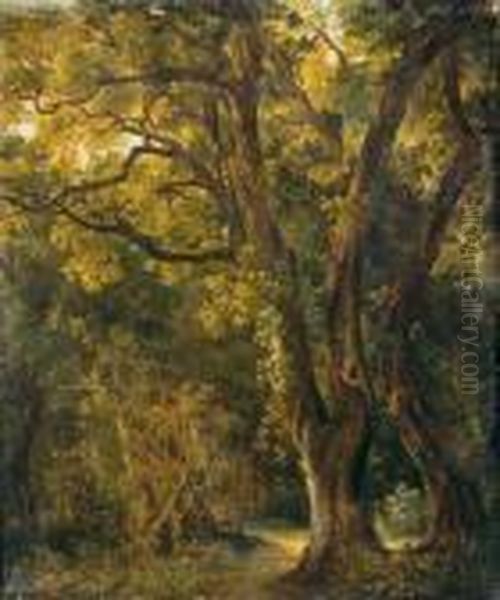 Scorcio Di Bosco Oil Painting by Gabriele Smargiassi