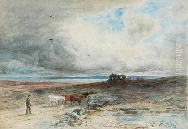 The Highland Drover Oil Painting by John I Smart