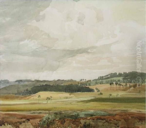 Looking Over Haymoor Bottom To Broadstone, Dorset Oil Painting by Rowley Smart