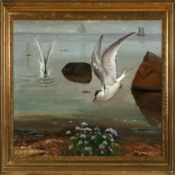 Diving Terns Oil Painting by Hans Ludvig Smidth