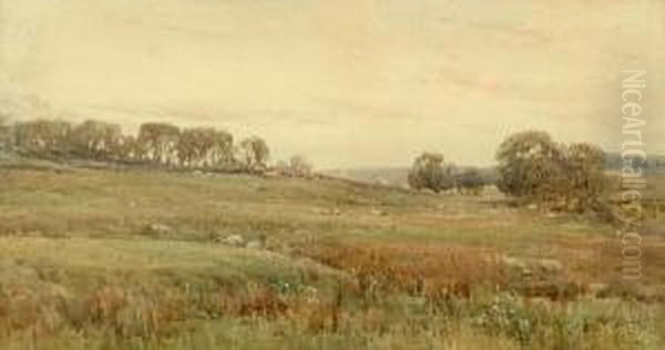 Sheep In An Open Landscape Oil Painting by Arthur Reginald Smith