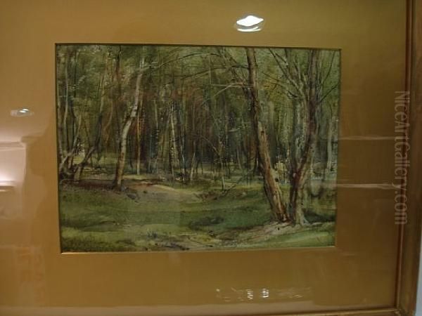 A Wood In Spring Oil Painting by Arthur Reginald Smith