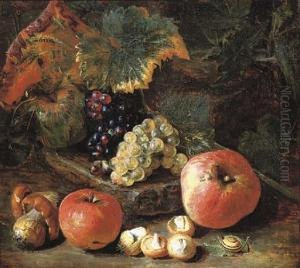 Grapes And Vine Leaves On A Stone Ledge With Apples, Mushrooms And A Snail Oil Painting by Pieter Snyers