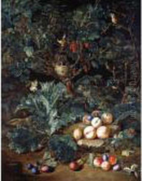 A Forest Floor With Peaches And 
Plums Arranged On Stony Ground Below A Small Tree Filled With A Bird's 
Nest And Berries Oil Painting by Pieter Snyers