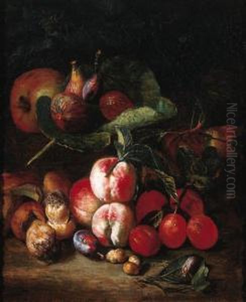 Peaches, Plums, Medlar Oil Painting by Pieter Snyers