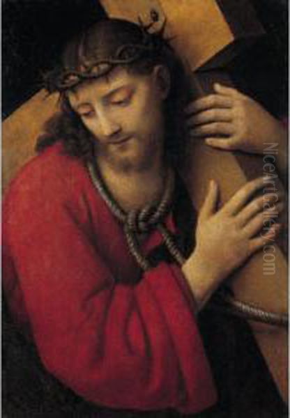 Christ Carrying The Cross Oil Painting by Andrea Solario