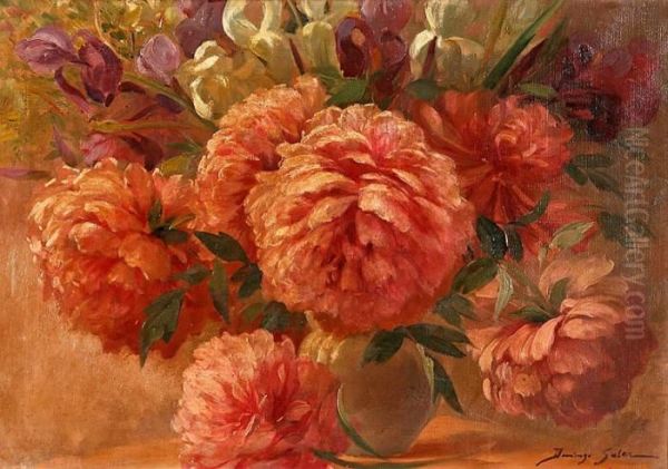 Peonias by Domingo I Solergili