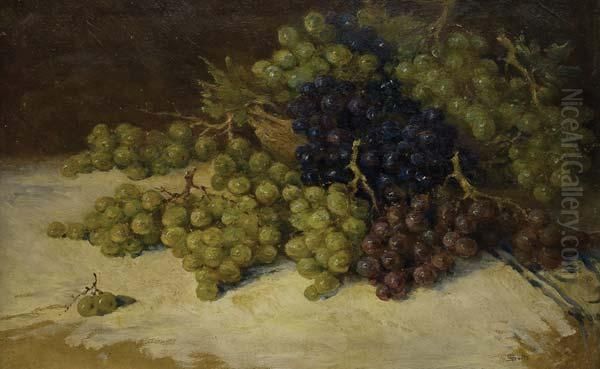 Bodegon Con Uvas Oil Painting by Giovanni Sottocornola