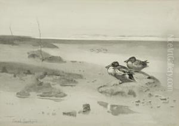 Shoveller Ducks On The Saltings Oil Painting by Frank Southgate