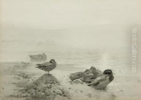 Wild Duck & Teal: The Morning Sunbanksthrough The Mist Oil Painting by Frank Southgate