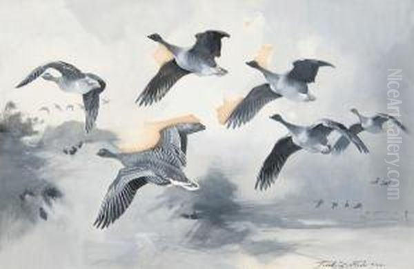 Geese In Flight Oil Painting by Frank Southgate