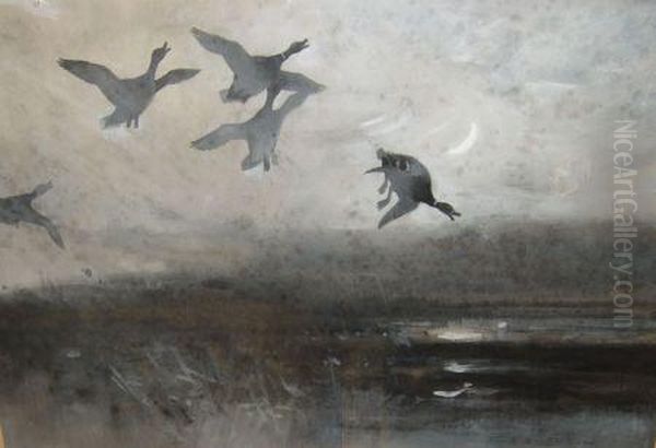 Interrupted Flight Oil Painting by Frank Southgate