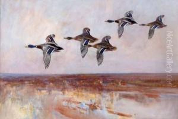 Mallard In Flight Over An Estuary Oil Painting by Frank Southgate