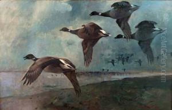 Brent Geese Reputed To Be On The Shoreline Of The Marshes At Wells-next-the-sea Oil Painting by Frank Southgate