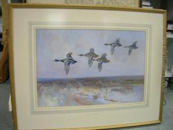 Mallard In Flight Oil Painting by Frank Southgate