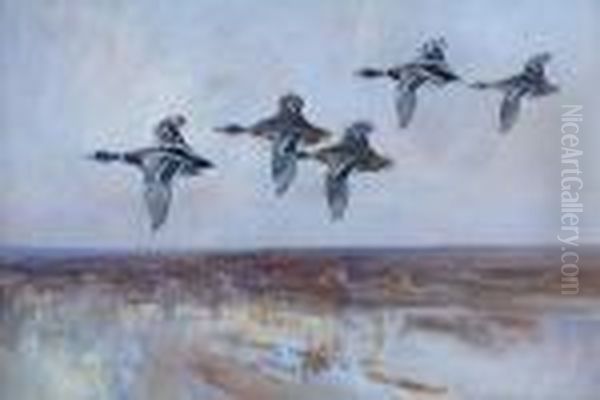 Mallard Inflight Oil Painting by Frank Southgate