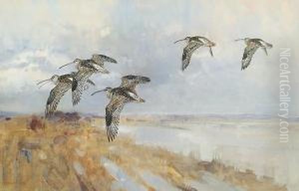 Snipes In Flight Oil Painting by Frank Southgate